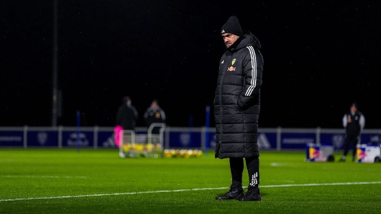 丹尼尔·法克关于水晶宫比赛前体能的最新进展