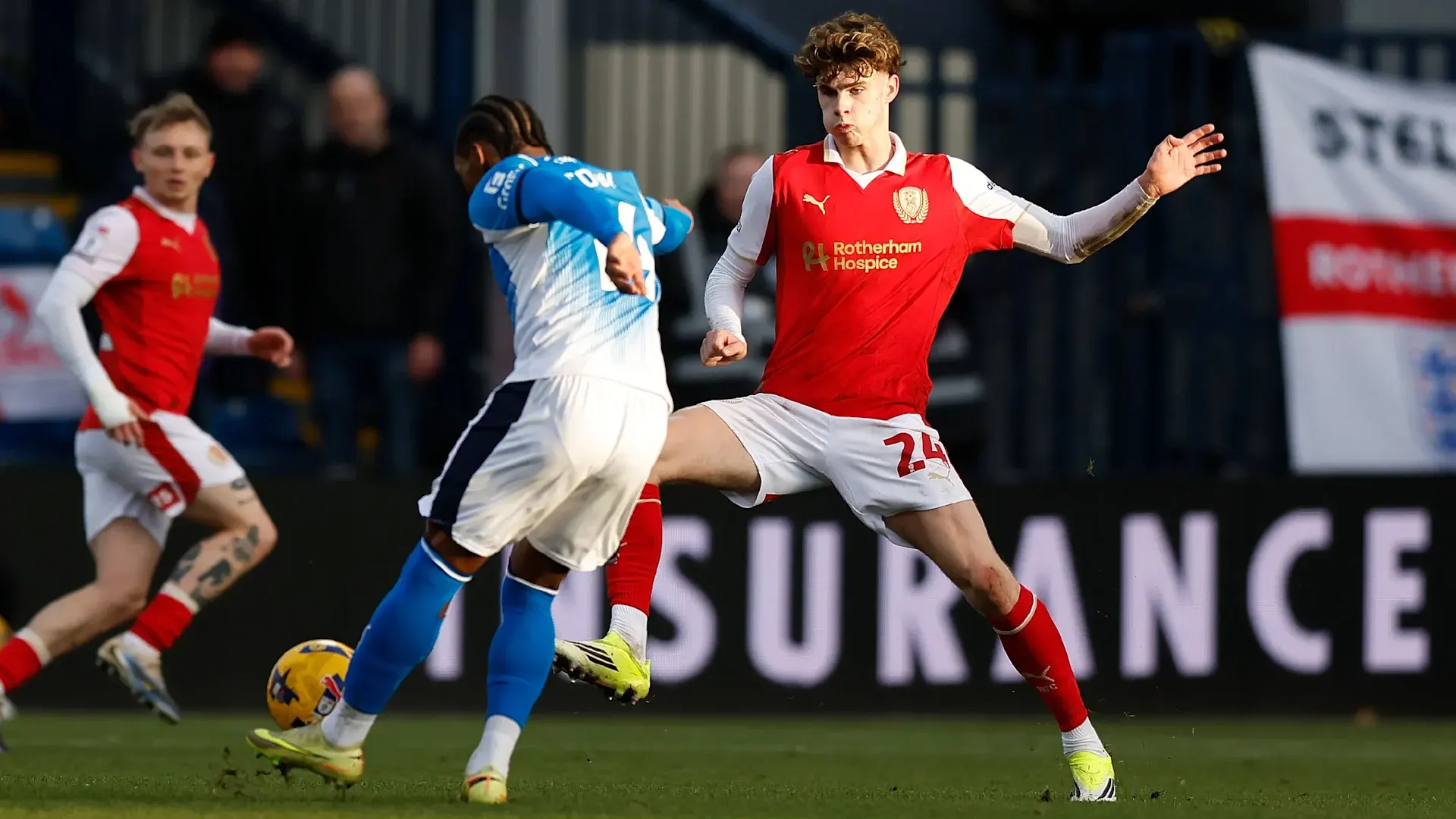 青训租借报告：哈里·格雷首次亮相罗瑟勒姆